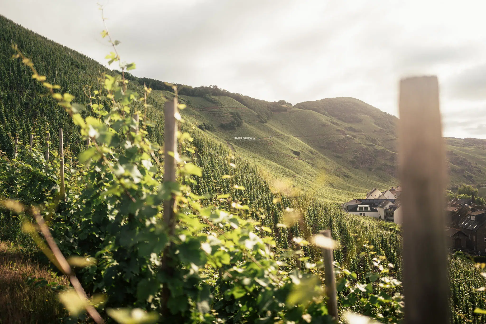 Faszination Mosel - Shooting