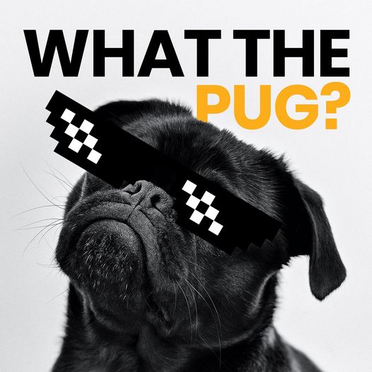 WHAT THE PUG? 🦴🦴🦴
