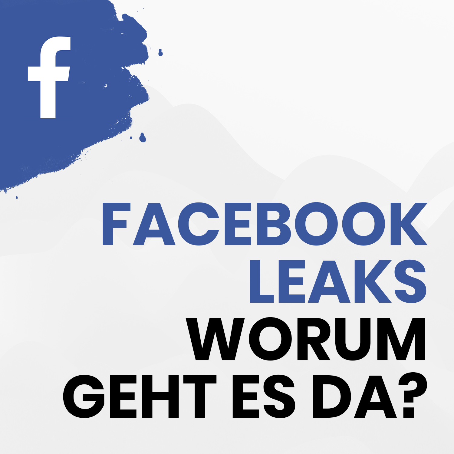Facebook Leaks - Worum geht es da?