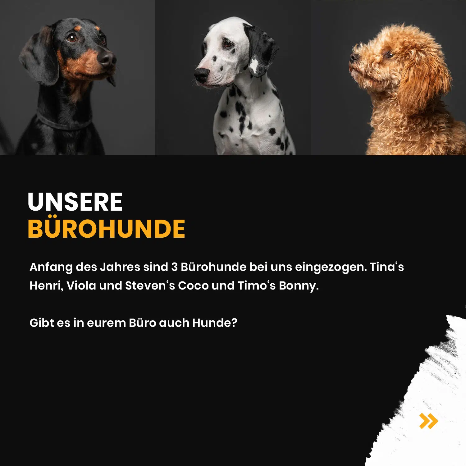 Unser Rückblick 2021 - new media labs