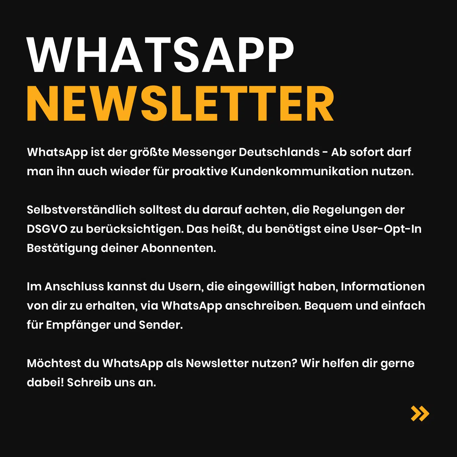 Whats App Newsletter new media labs