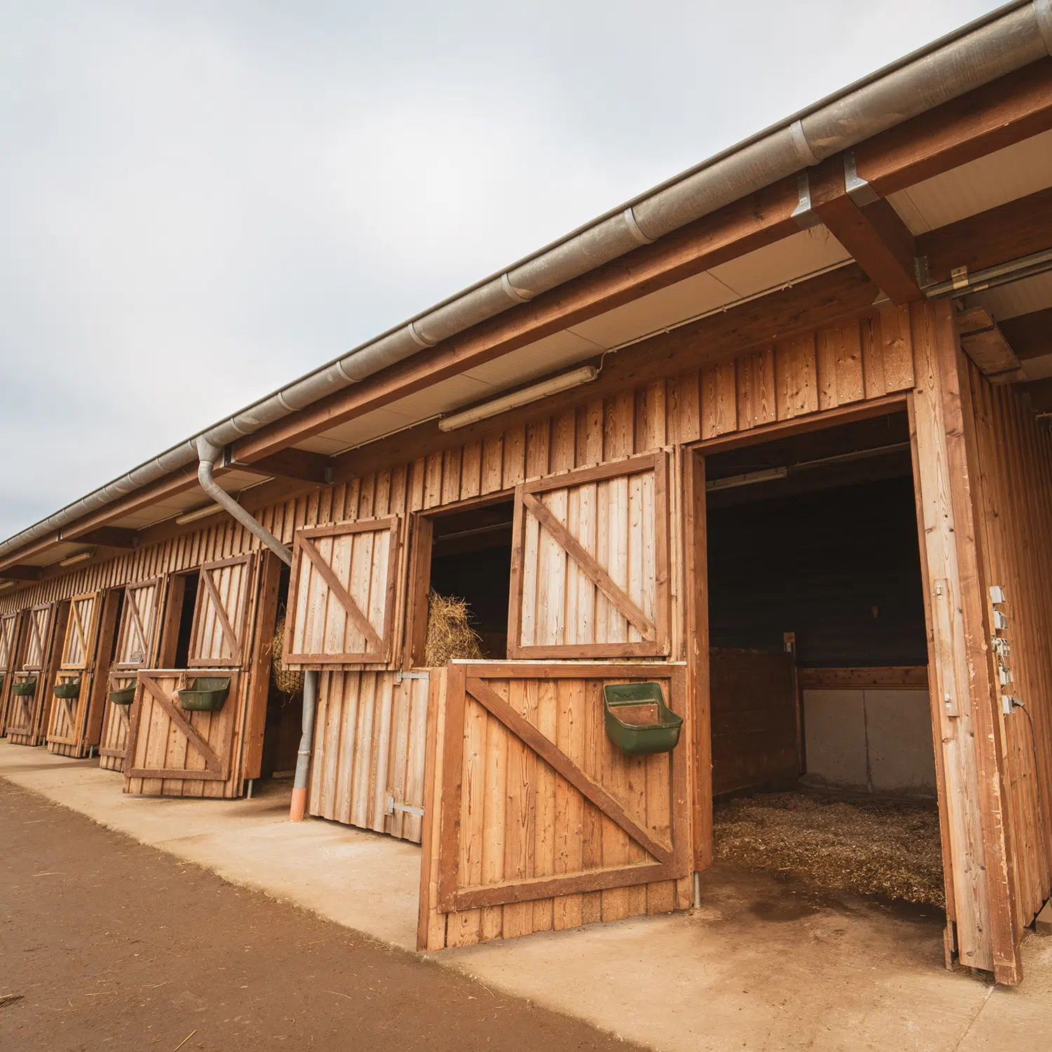 Fotos für Sigis Ranch von new medial labs