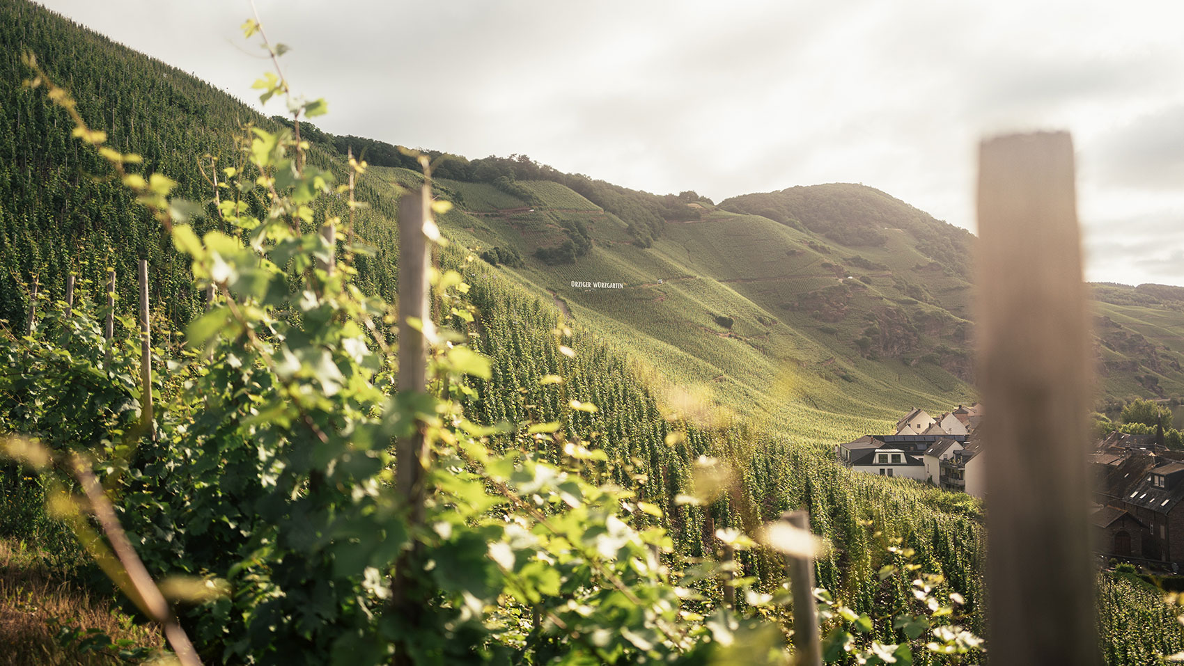 Fotografie, Film und Content für Faszination Mosel