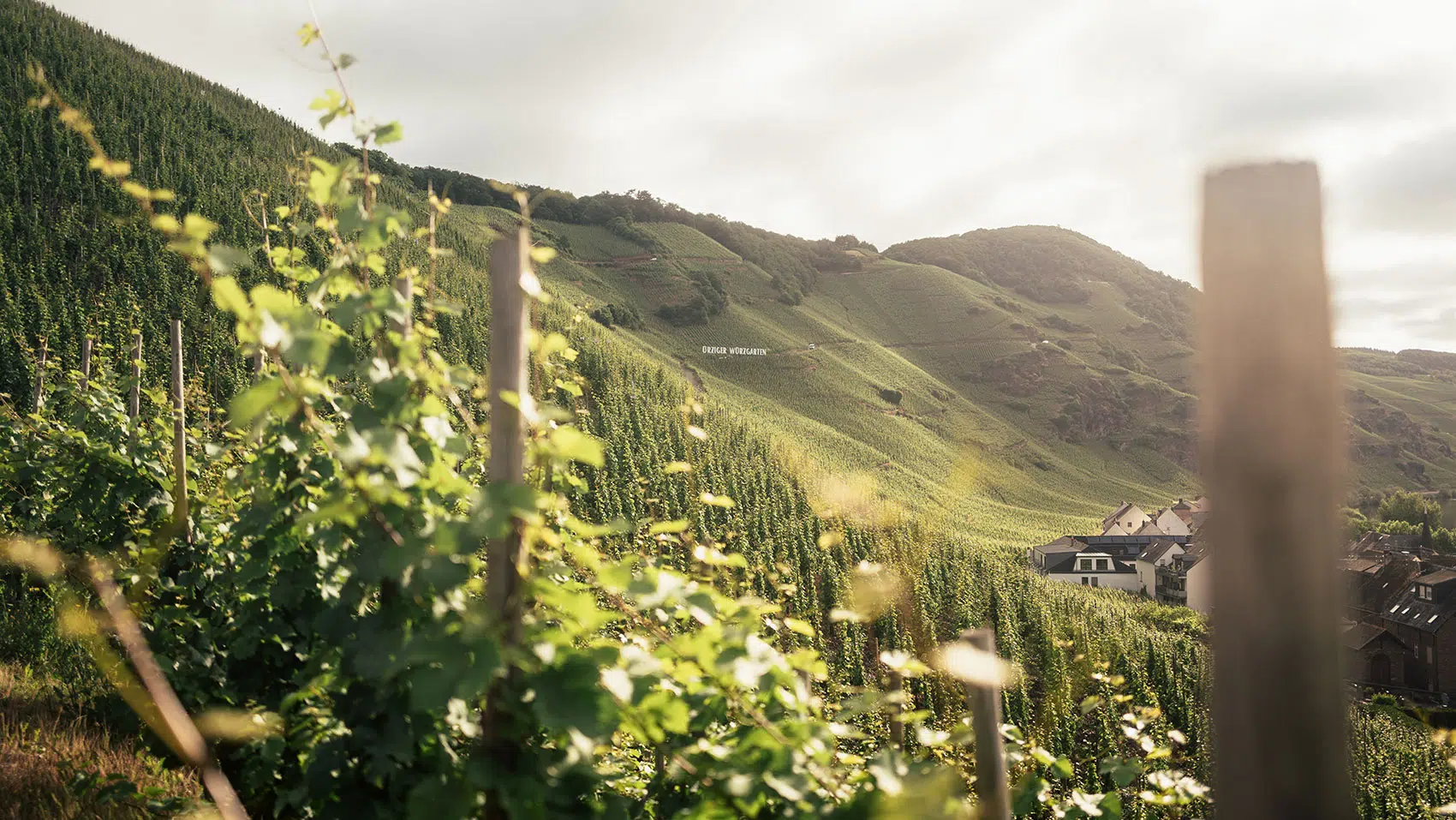 Fotografie, Film und Content für Faszination Mosel