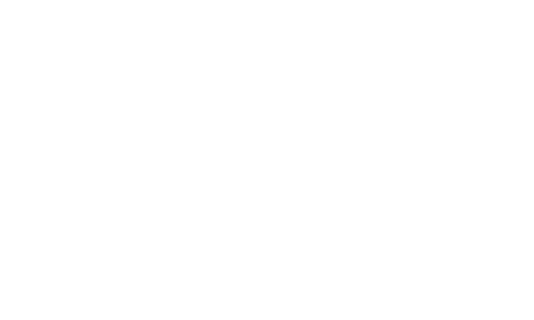 Autohaus Tripodi - Reference from new media labs