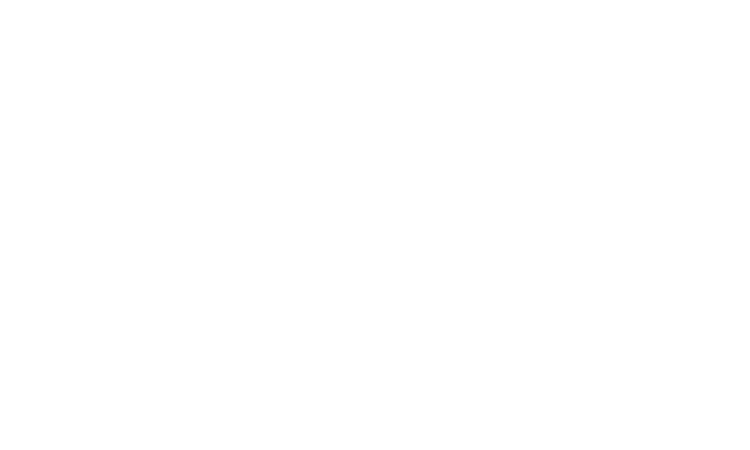 Simon Fleisch - Reference from new media labs