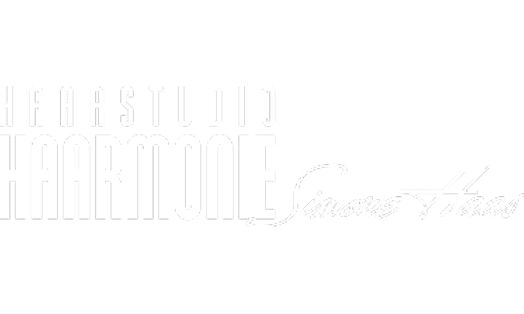 Hair studio Haarmonie - Reference from new media labs