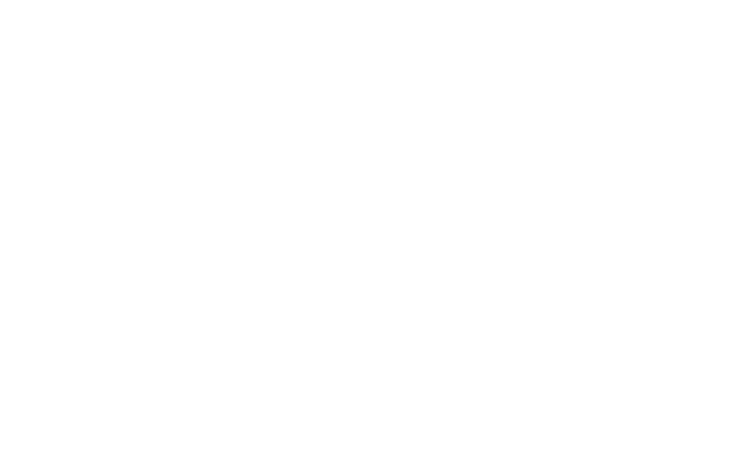 Ritter & Partner - Reference from new media labs