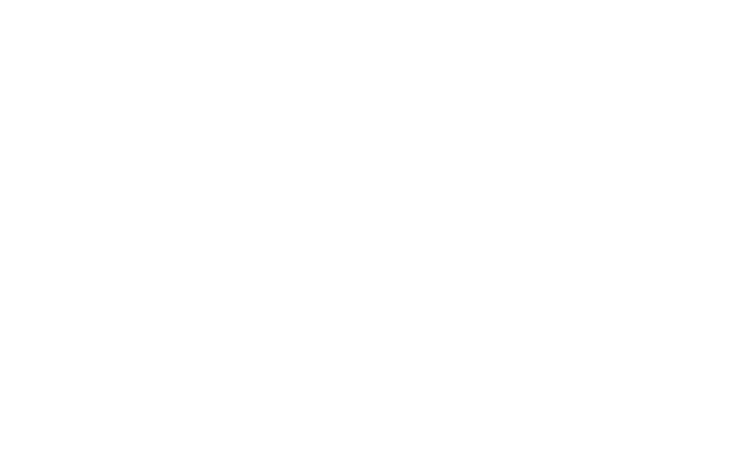 Stadtmarketing Wittlich - Reference from new media labs