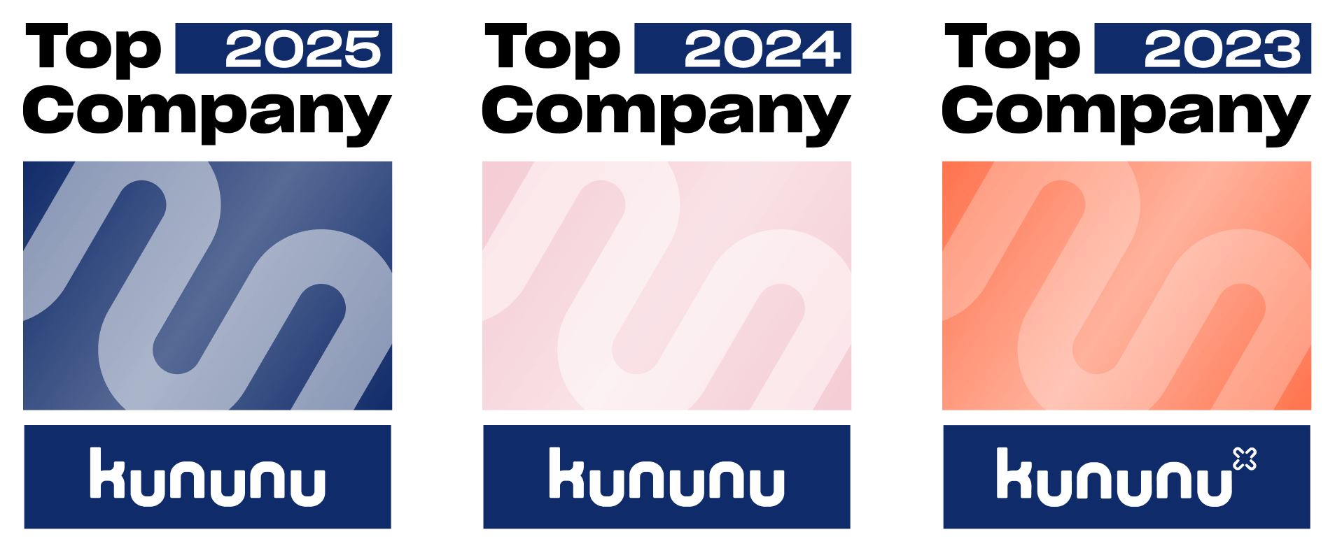 We have been honoured - new media labs is the winner of the Top Company Award